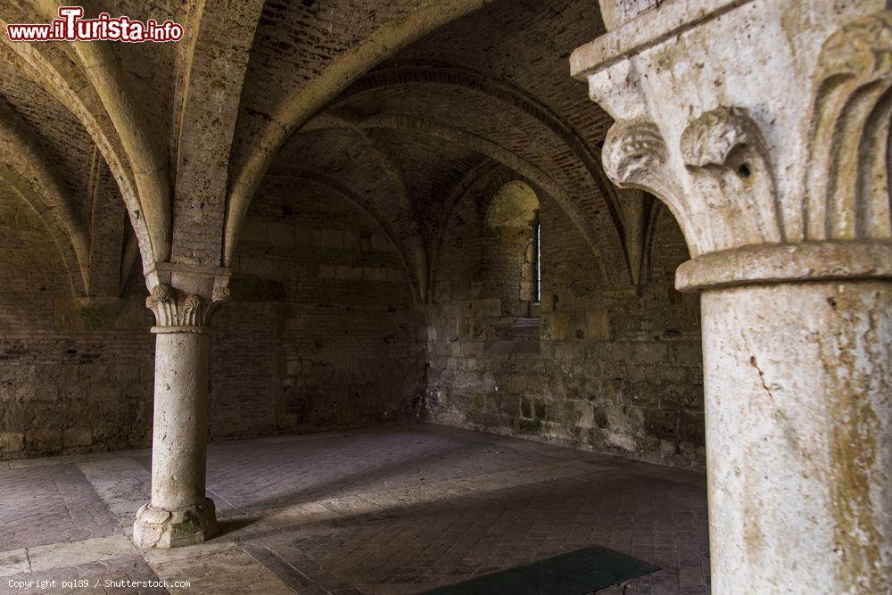 Immagine Dentro all'Abbazia sconsacrata di San Galgano in Toscana - © pql89 / Shutterstock.com