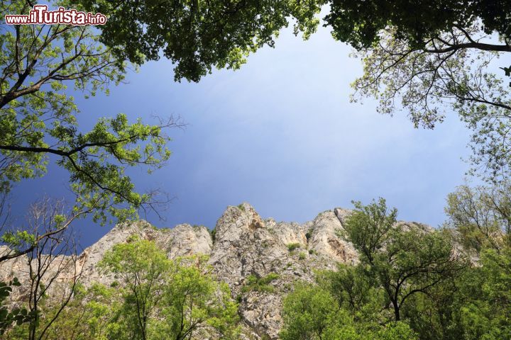 Immagine Dentro alle gole di Turda in Romania - © Mikadun / Shutterstock.com