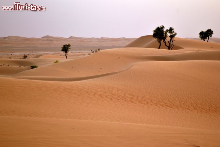 Immagine Il deserto è un componente basilare del paesaggio di Abu Dhabi e più in generale degli Emirati Arabi Uniti. Non mancano le opportunità di cimentarsi con escursioni organizzate di ogni tipo, dalle passeggiate con i cammelli alle uscite con il quad.