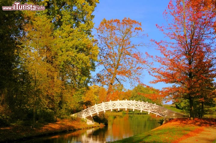 Immagine I giardini del Wörlitzer Park vicino a Dessau nella cittadina di Worlitz