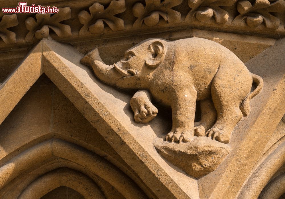 Immagine Dettaglio degli intagli della cattedrale gotica di Santo Stefano a Metz, Francia.