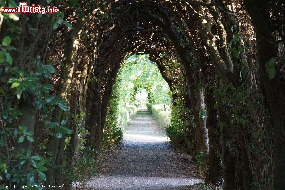 Immagine Dettaglio del giardino della Certosa di Pontignano, nel comune di Castelnuovo Berardenga - © pugajl / Shutterstock.com