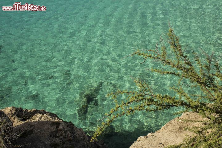 Immagine Un dettaglio dell'acqua cristallina a Grote Knip sull'isola di Curacao. Questa spiaggia dell'isola caraibica di Curacao si trova nella parte occidentale fra i villaggi di Westpunt e di Lagoon. E' spesso utilizzata come punto di partenza per lo snorkeling per via della presenza di una barriera corallina nelle vicinanze.