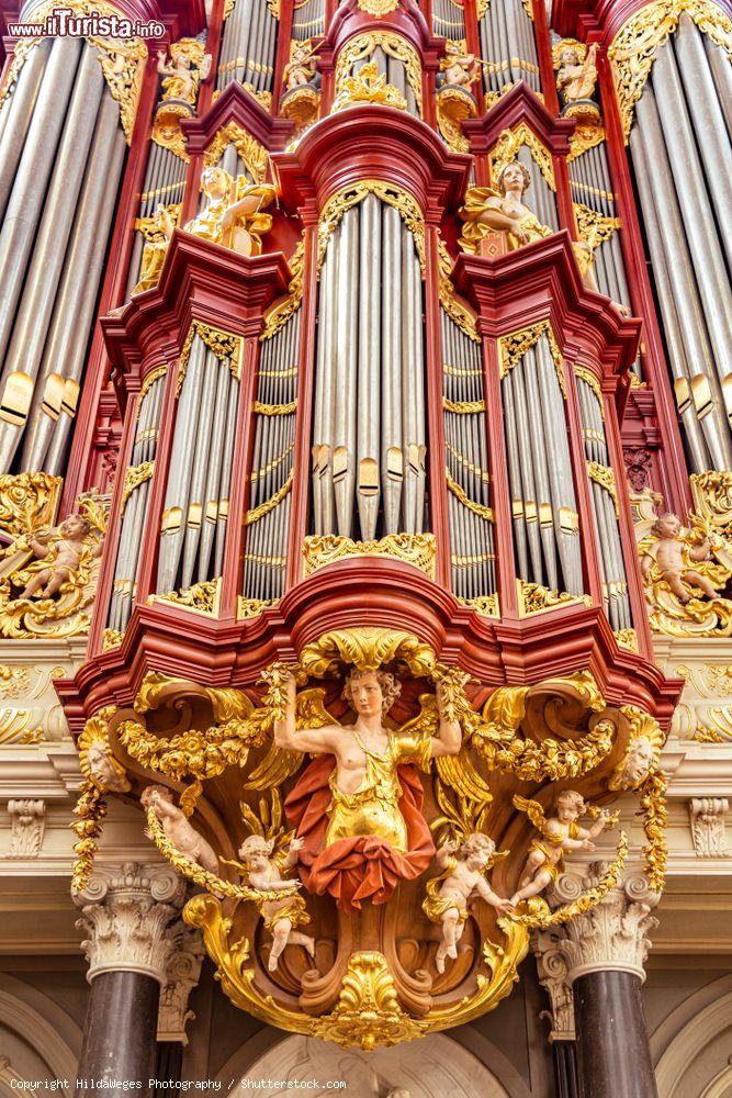 Immagine Dettaglio dell'organo Christiaan Muller nella cattedrale di Haarlem, Olanda - © HildaWeges Photography / Shutterstock.com