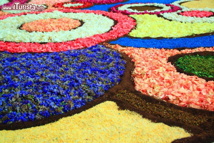 Immagine Particolare del tappeto floreale dell'Infiorata di Genzano di Roma, che si svolge durante la festa del Corpus Domini - © 93225976 / Shutterstock.com