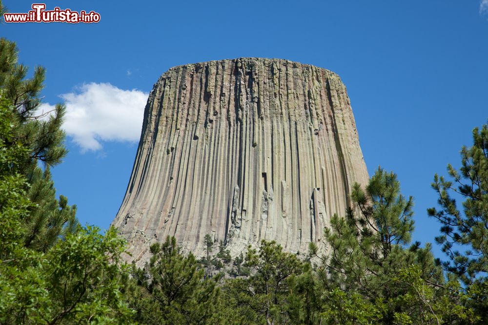 Immagine La montagna Devils Tower, monumento nazionale del Wyoming