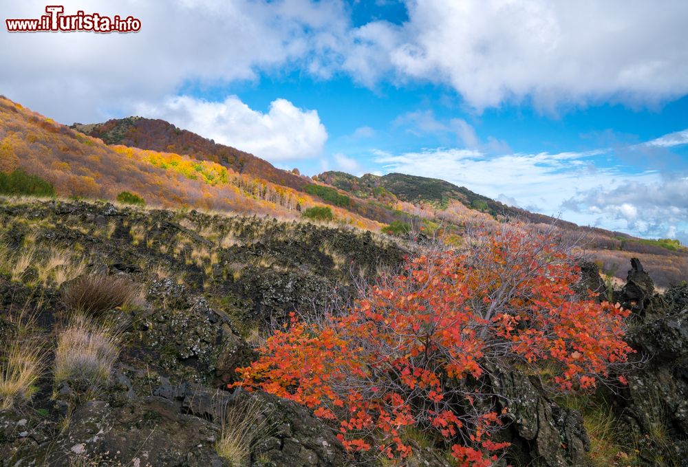 Immagine Discesa al vulcano Etna con i bellissimi colori della natura, Acireale, Sicilia.