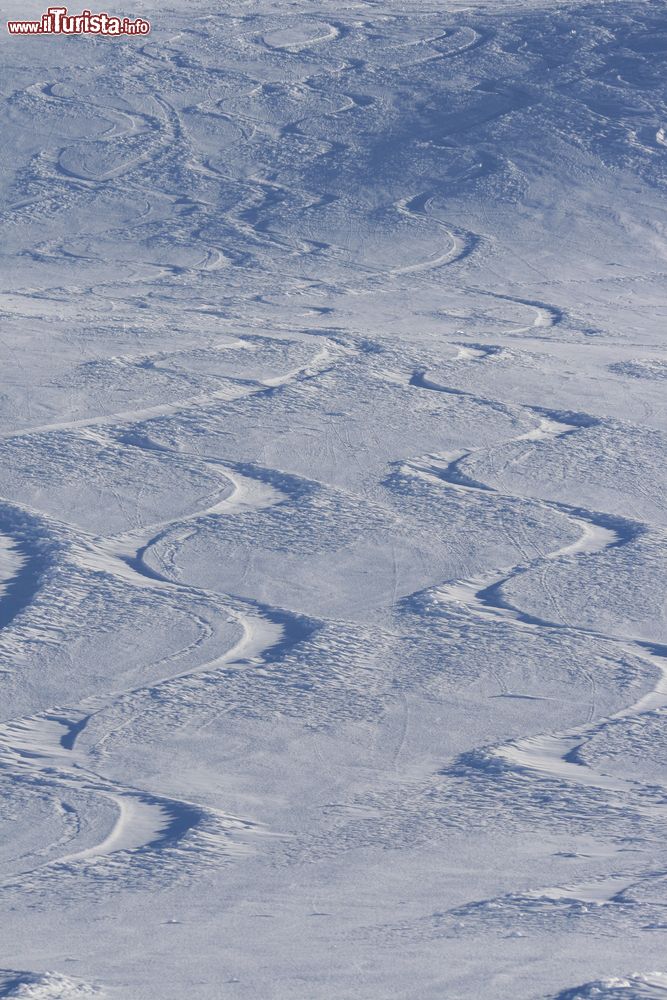 Immagine Disegni della natura sulla neve in Val Cenis, Francia.