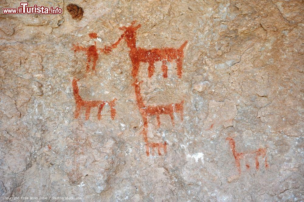 Immagine Disegno rupestre di alcuni lama vicino alla città di Oruro, Bolivia. Siamo nell'Altopiano delle Ande boliviane - © Free Wind 2014 / Shutterstock.com