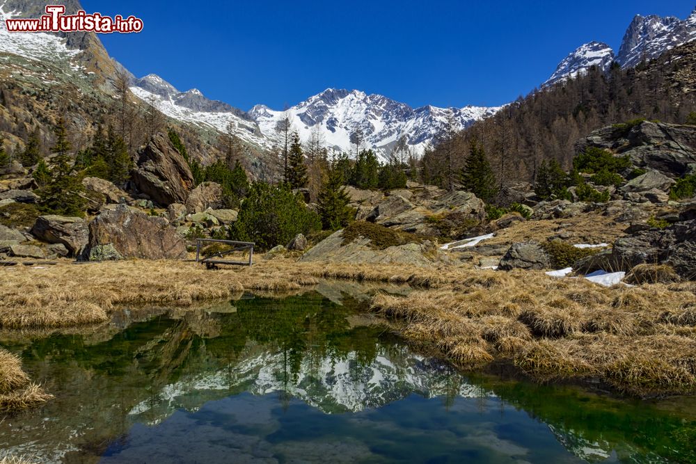 Immagine Disgelo primaverile in primavera nella Val Masino, Sondrio, Lombardia.