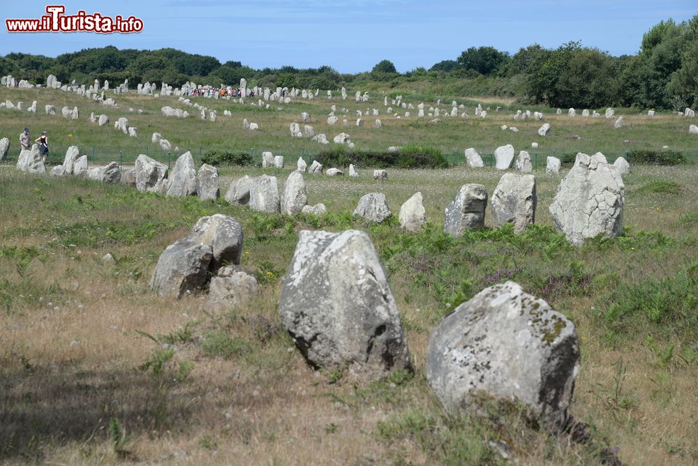 Immagine Distesa di menhirs a Carnac, Bretagna, Francia. Menhirs ma anche dolmen e tumuli rappresentano le più vecchie architetture monumentali dell'umanità e costellano il paesaggio del dipartimento di Morbihan.