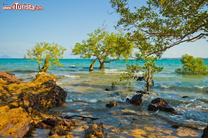 Immagine Scorcio panoramico su Koh Lanta, Thailandia - Paradiso per il diving, la pesca e le grotte da esplorare questo arcipelago situato sulla costa occidentale della Thailandia si trova a un'ora e mezza da Krabi © Mart Koppel / Shutterstock.com