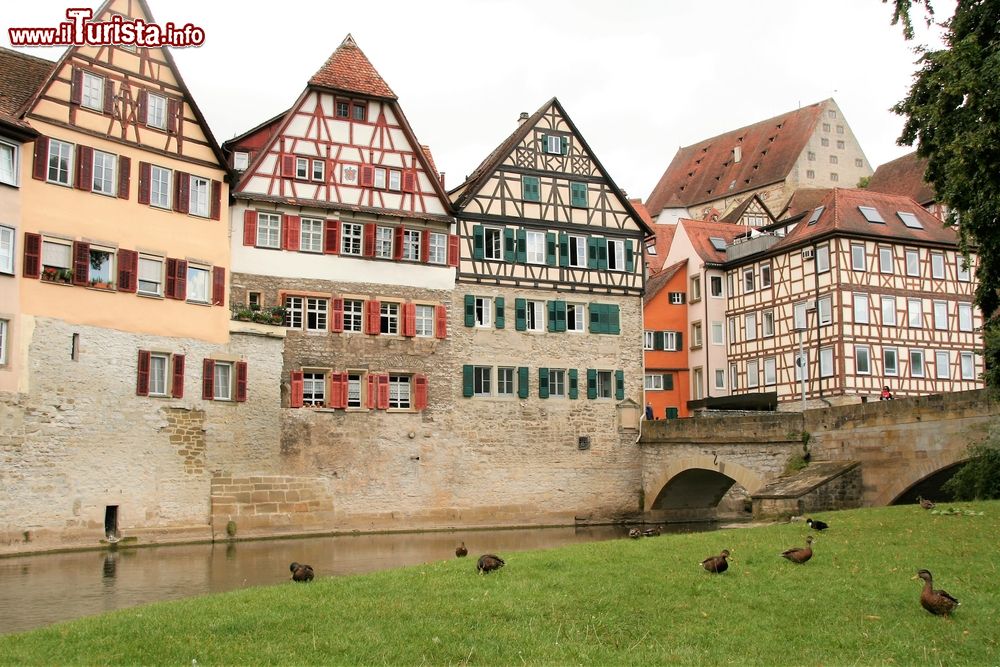 Immagine Donauworth e le sue tipiche case a graticcio sulla Strada Romantica, Baviera (Germania).