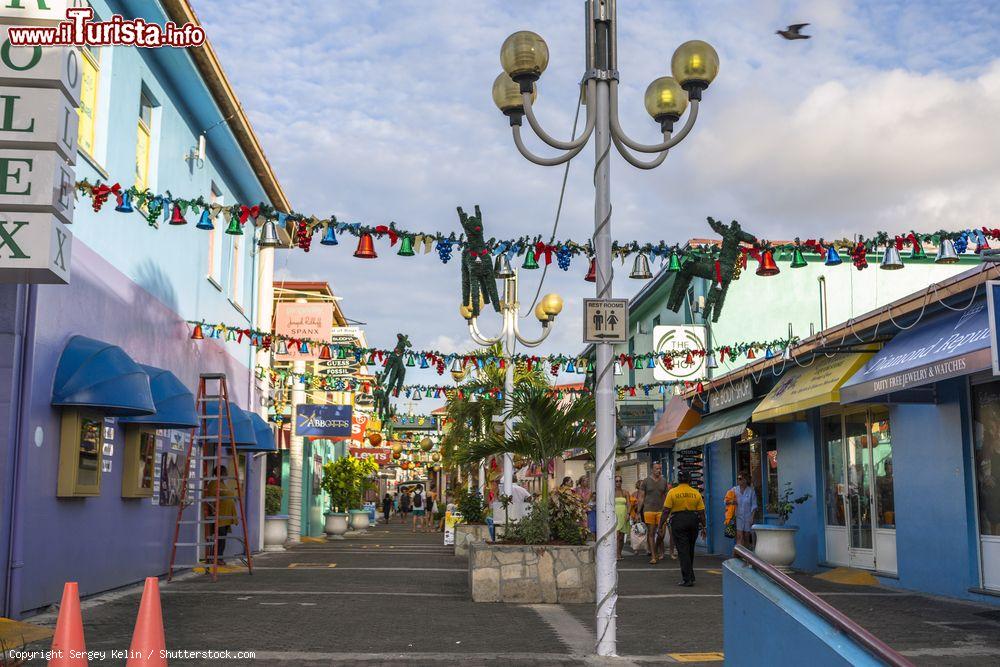 Immagine Downtown di Saint John's, Antigua e Barbuda, Caraibi: siamo nel centro commerciale nonché porto principale dell'isola di Antigua - © Sergey Kelin / Shutterstock.com