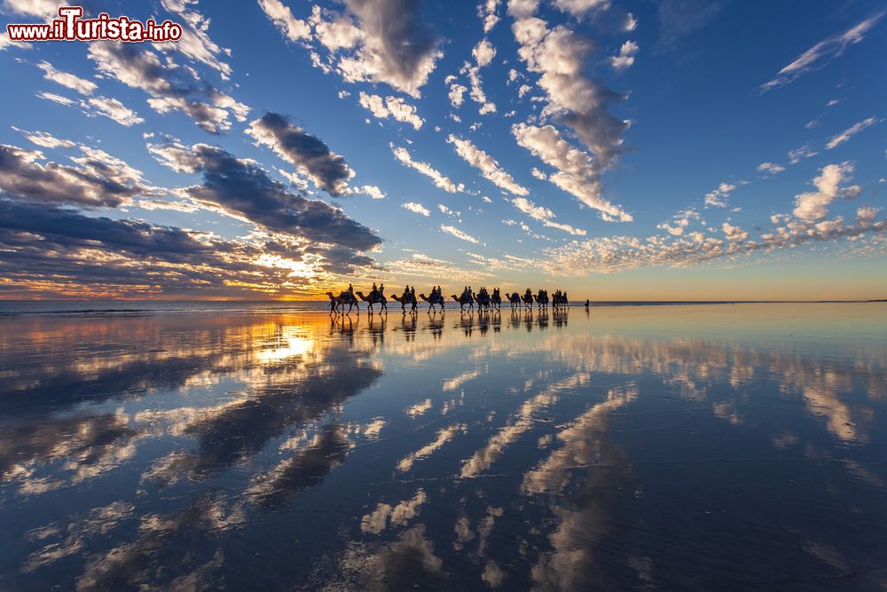 Immagine Dromedari sul lungomare a Cable Beach al tramonto, Broome, Western Australia. Lunga circa 22 km, questa spiaggia è caratterizzata da maree che possono raggiungere i 9 metri di estensione.