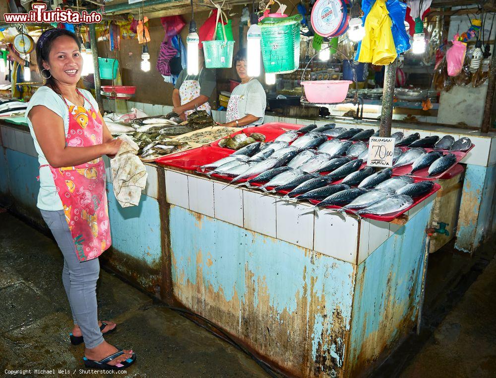 Immagine Due donne vendono pesce al mercato centrale di Puerto Princesa, isola di Palawan, Filippine - © Michael Wels / Shutterstock.com