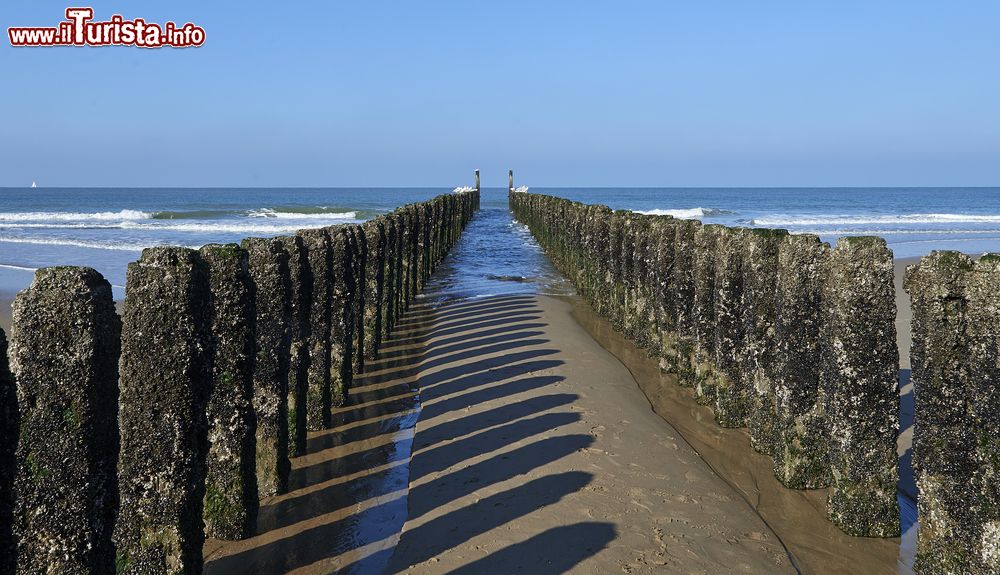 Immagine Due file di frangiflutti sulla costa di Vlissingen, Olanda.