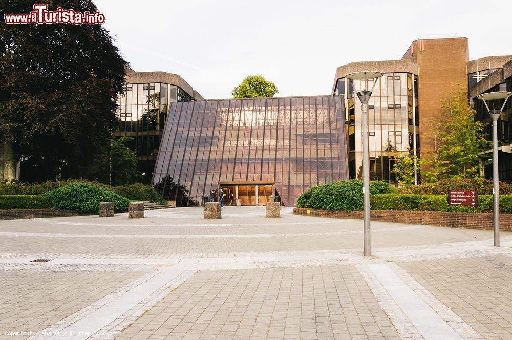 Immagine Due giovani uomini di fronte all'edificio principale dell'Università di Limerick, Irlanda - © Alena 11 / Shutterstock.com