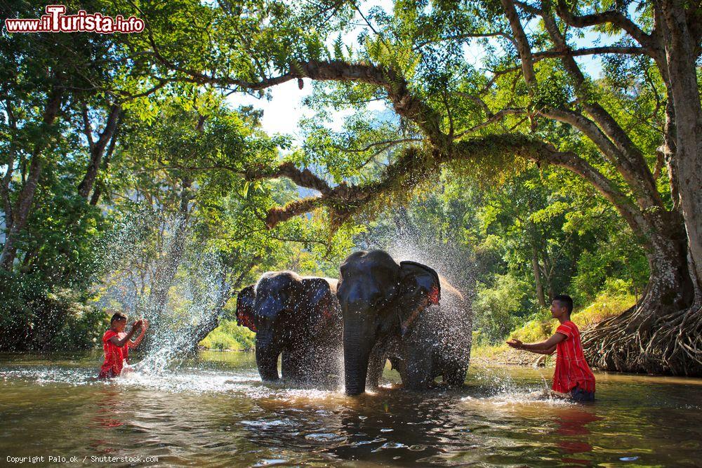 Immagine Due uomini fanno il bagno agli elefanti in un fiume nel distretto di Sangkhlaburi, Kanchanaburi, Thailandia - © Palo_ok / Shutterstock.com