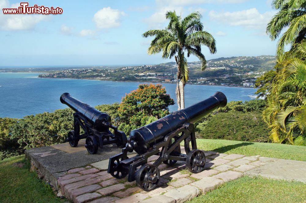 Immagine Due vecchi cannoni a Fort King George nei pressi di Scarborough, Tobago. Questo pittoresco forte è uno dei più grandi e meglio conservati di Tobago.