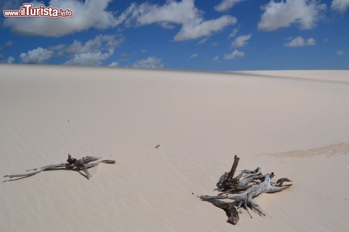 Immagine Una duna nel Parco Nazionale dei Lençois Maranhenses, in Brasile.
