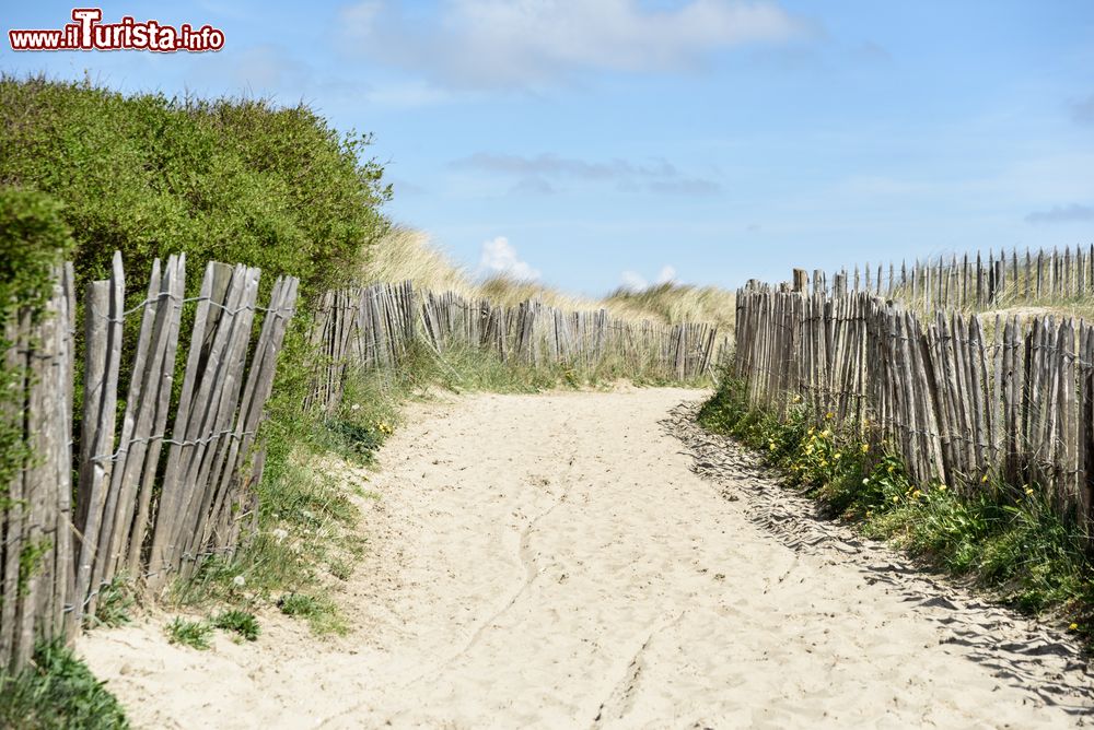 Immagine Dune di sabbia e cielo blu nel mare del Nord a Blankenberge, Belgio.