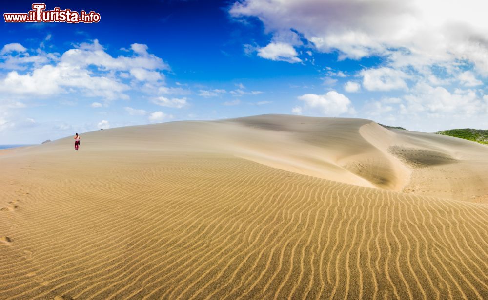 Immagine Dune di sabbia fine a Sigatoka, isola di Viti Levu, Figi. Questo parco nazionale protegge anche alcuni siti archeologici risalenti a oltre 3 mila anni fa.