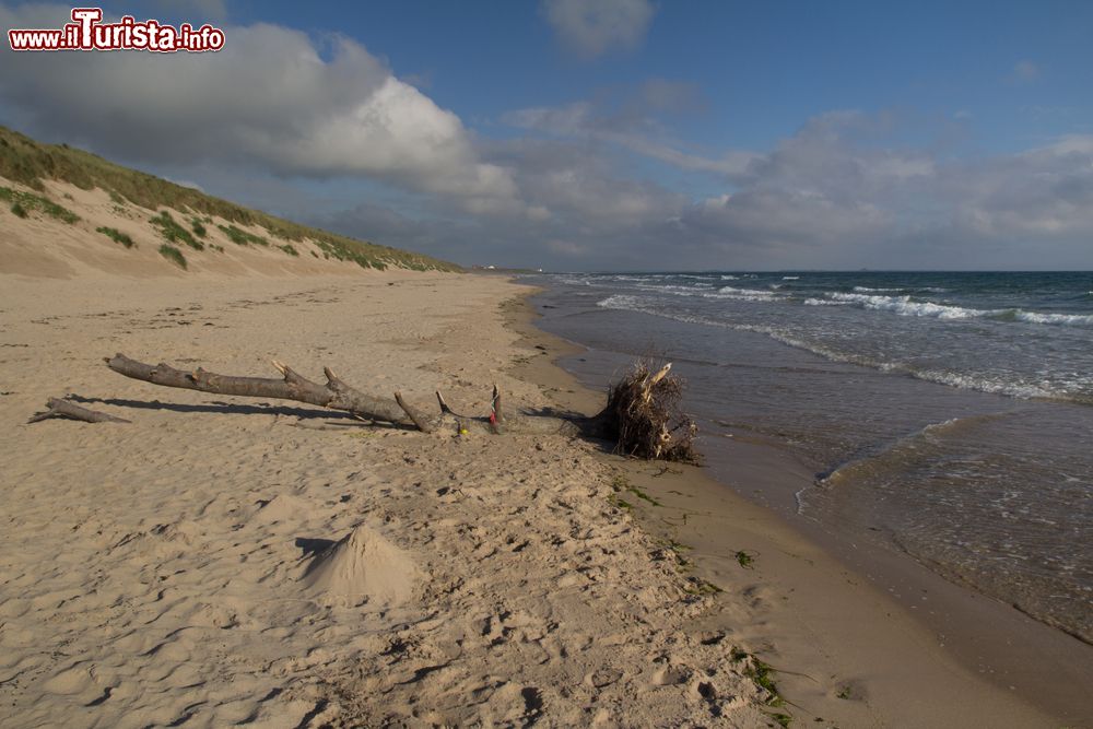 Immagine Dune di sabbia lungo la spiaggia selvaggia di Bamburgh in Inghilterra