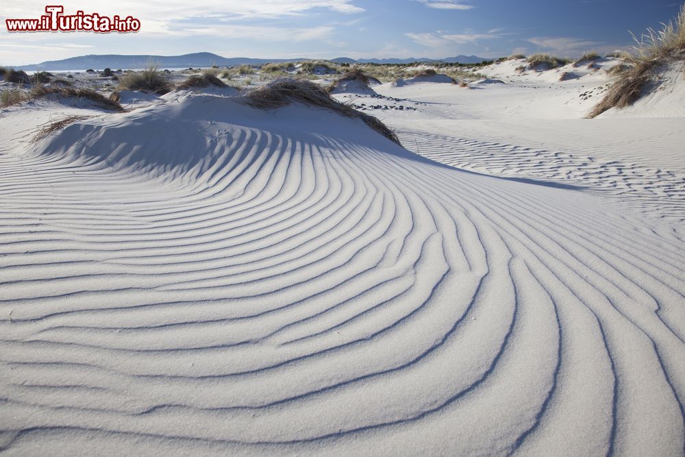 Immagine Dune di sabbia nella zona di Porto Pino a Sant'Anna Arresi in Sardegna