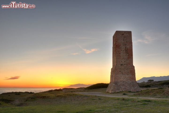 Immagine Dune della spiaggia di Artola a Marbella, Spagna. Una bella immagine al tramonto di quest'area naturale situata a ovest di Cabopino Marina - © Cristina Trif / Shutterstock.com