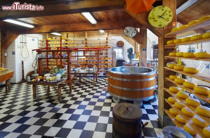 Immagine Edam: produttore formaggio Edammer, Olanda - © Eric Gevaert - Fotolia.com