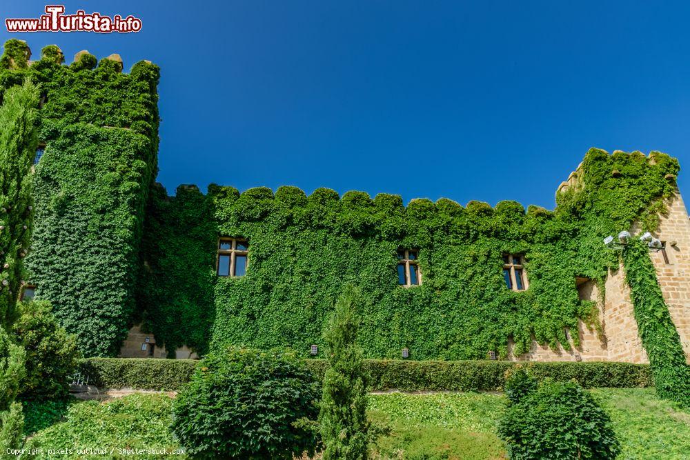 Immagine Edera su una parte del castello di Olite in estate (Spagna) - © pixels outloud / Shutterstock.com