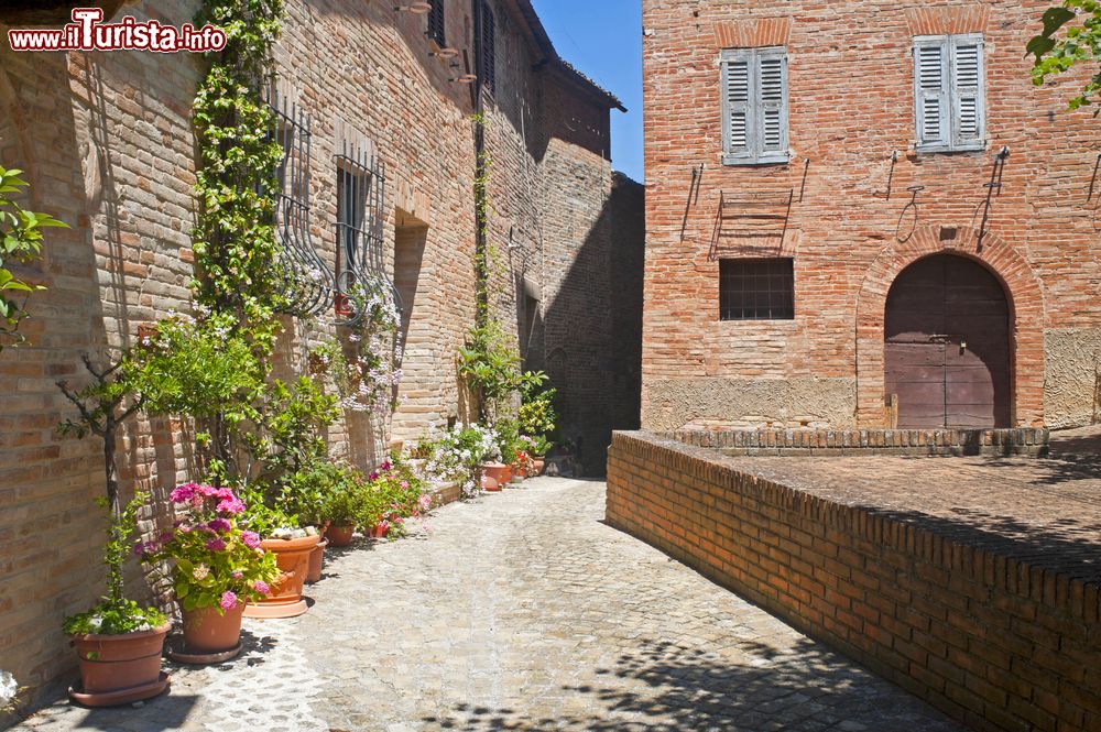 Immagine Edifici affacciati su un vicolo del centro storico, Sarnano, Marche.