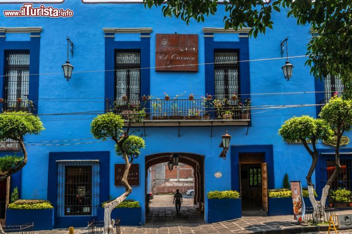 Immagine Edifici colorati nei ricchi quartieri borghesi del sud di Città del Messico: Coyoacán, San Ángel, Tlalpan sono alcune delle zone più caratteristiche della città - foto © Kiev.Victor / Shutterstock.com