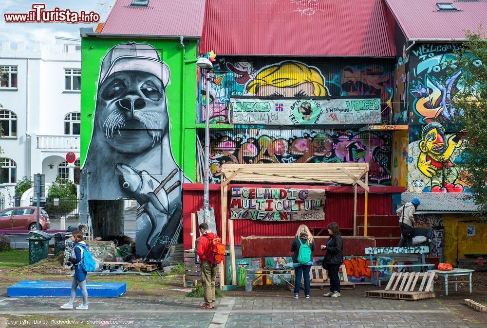 Immagine Edifici colorati da graffiti e murales nel centro cittadino di Reykjavik (Islanda). Spesso sono i proprietari delle abitazioni a chiedere che i muri delle loro case vengano dipinti - © Daria Medvedeva / Shutterstock.com