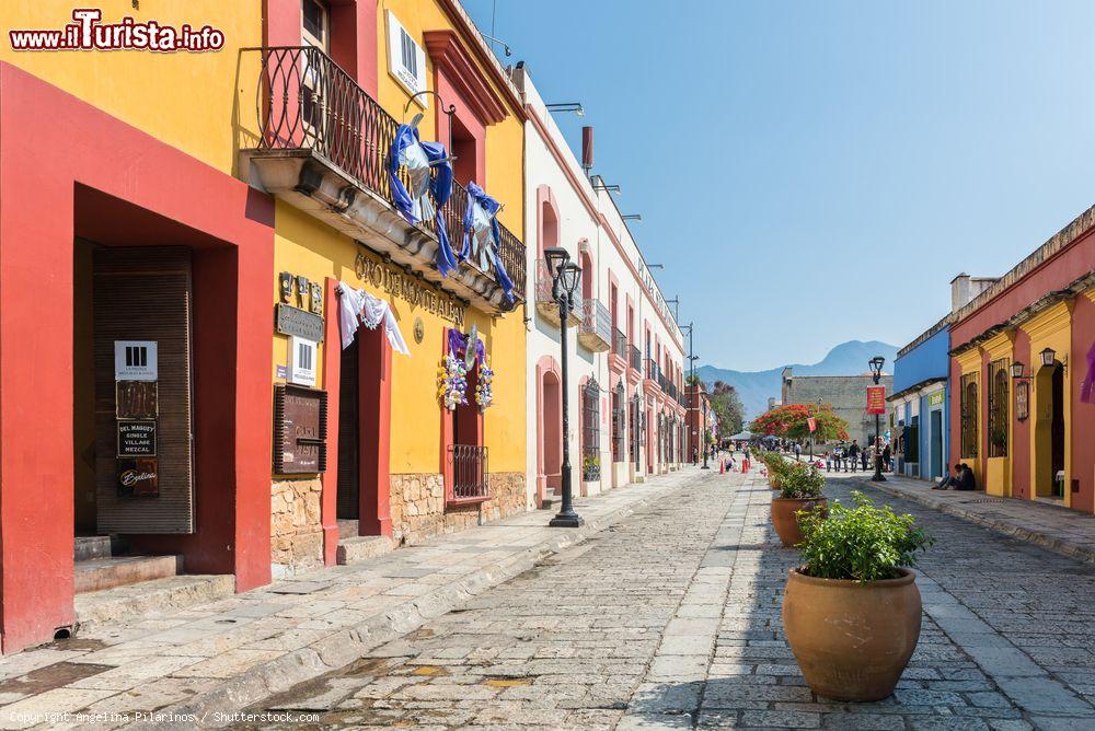 Immagine Edifici colorati si affacciano su una strada ciottolata di Oaxaca, Messico - © Angelina Pilarinos / Shutterstock.com