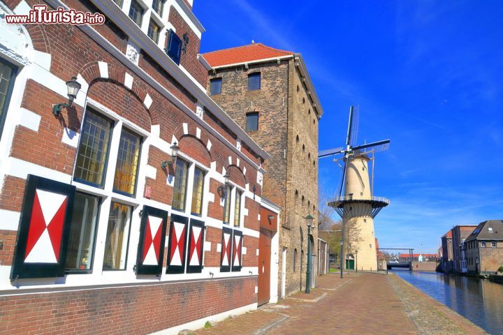 Immagine Edifici decorati si affacciano su un lato del canale di Schiedam, Olanda. Sullo sfondo un mulino a vento.