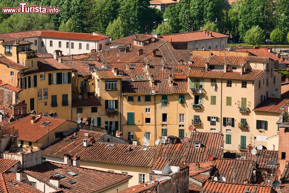 Immagine Edifici storici in piazza dell'Anfiteatro visti dall'alto a Lucca, Toscana. Questo spazio pubblico è stato edificato sui resti dell'antico anfiteatro romano e si presenta con la caratteristica forma ellittica chiusa.