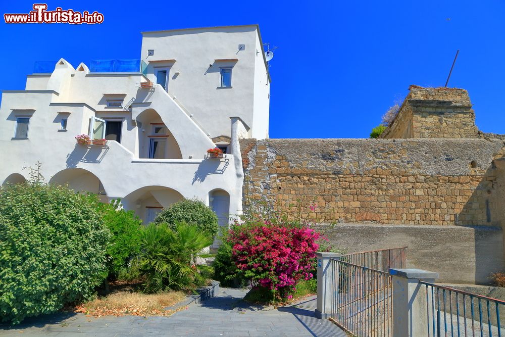 Immagine Edifici tradizionali dalla Terra Murata sull'isola di Procida, baia di Napoli, Campania. Questa fortificazione edificata sul punto più alto dell'isola è raggiungibile solo attraverso una ripida salita da cui si gode un panorama mozzafiato su tutto il golfo di Napoli.