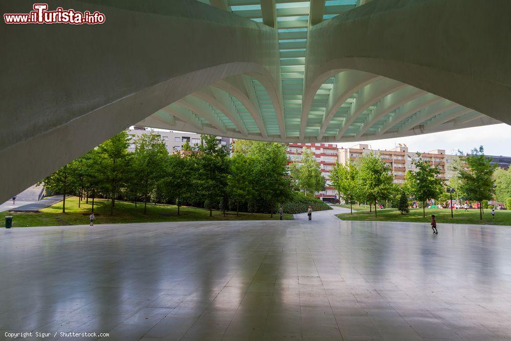 Immagine Edifici visti dall'ingresso del Palacio de Exposiciones y Congresos di Oviedo, Asturie, Spagna.
Inaugurata nel maggio 2011, questa costruzione si trova poco distante dal centro storico; è ben integrata nel quartiere residenziale in cui si trova e di cui riprende colori e materiali. Fra interno e area esterna occupa circa 15 mila metri quadrati - © Sigur / Shutterstock.com