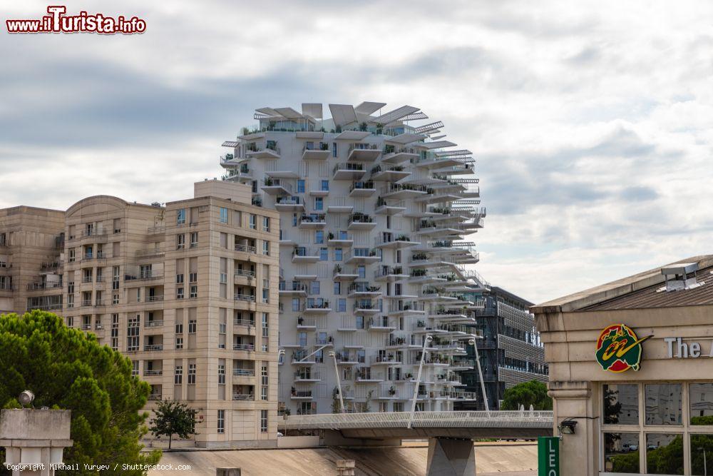 Immagine Edificio a forma di albero dell'architetto Fujimoto a Montpellier, Francia - © Mikhail Yuryev / Shutterstock.com