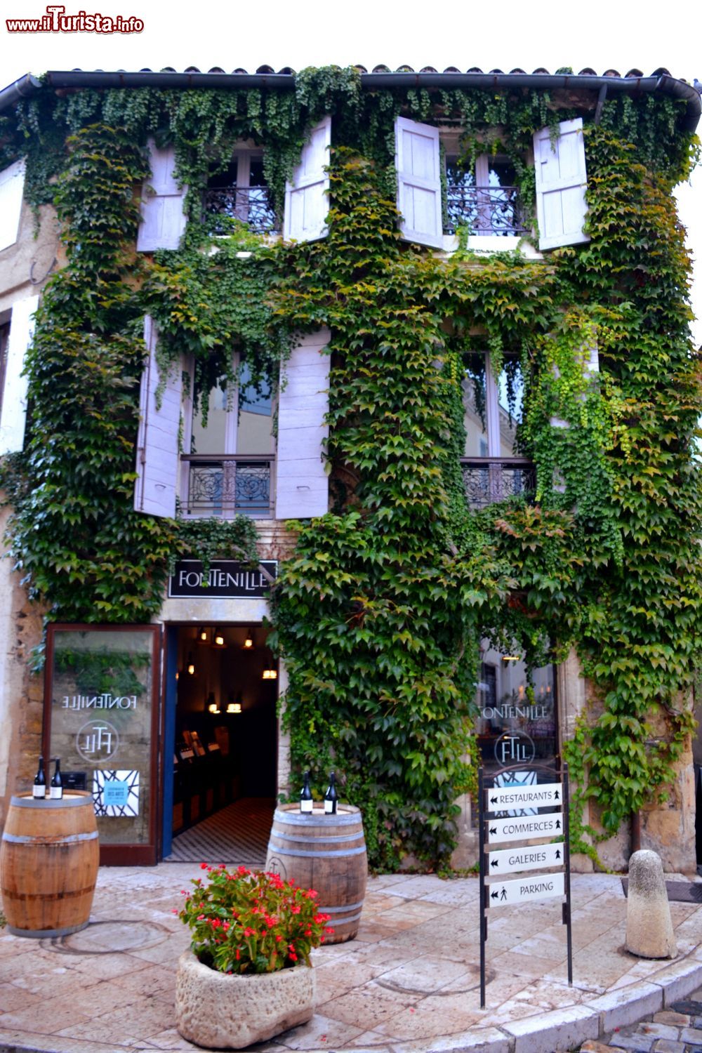 Immagine Un edificio coperto di vegetazione del centro storico di Lourmarin, nel parco regionale del Luberon (Francia).