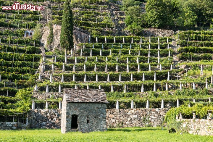 Immagine Un edificio in pietra e i vigneti terrazzati a Pont-Saint-Martin in Valle d Aosta - © KamilloK / Shutterstock.com