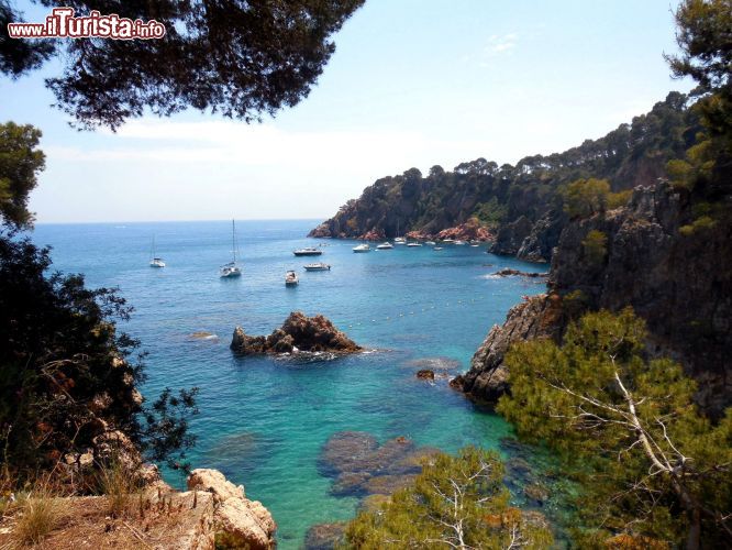 Immagine La vista delle acque antistanti la spiaggia di El Golfet, in Costa Brava, invoglia i turisti di tutta Europa a fare il bagno anche nei mesi primaverili, quando l'acqua è ancora molto fredda.