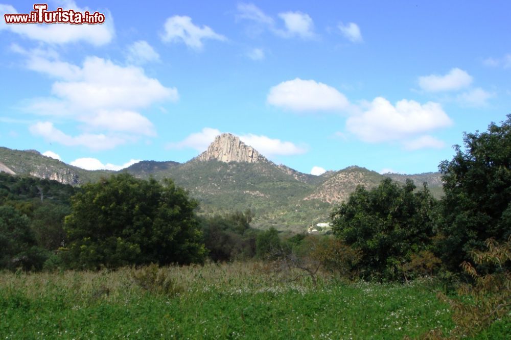Immagine Il Cerro El Órgano è una montagna alta 2405 metri s.l.m. nello stato di San Luis Potosí, nel Messico centrale - © ralvarado, CC BY 3.0, Wikimedia Commons