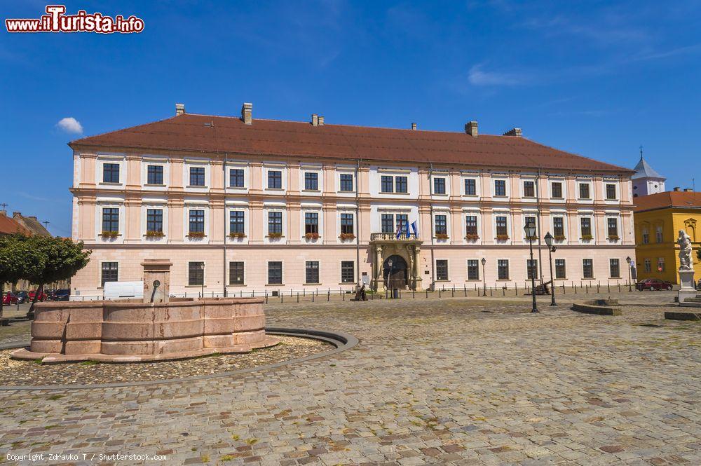 Immagine L'elegante edificio che ospita l'importante università di Osijek, Croazia - © Zdravko T / Shutterstock.com