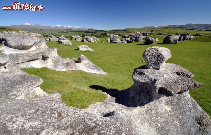 Immagine Elephant Rocks nei pressi di Dunedin, Nuova Zelanda. Queste rocce sono i resti della formazione calcarea di Otekaike. Sono sparse su una collina in un'area di circa 200 metri - © davidelliottphotos / Shutterstock.com