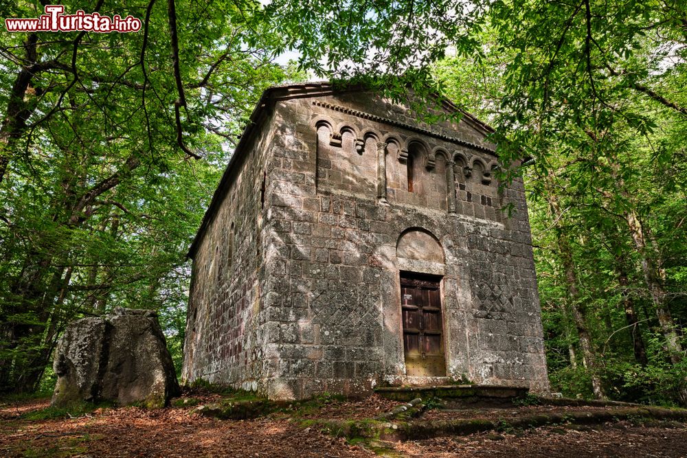 Immagine Castiglione d'Orcia, Siena: l'antico eremo di San Benedetto immerso nella foresta nei dintorni di Vivo d'Orcia.