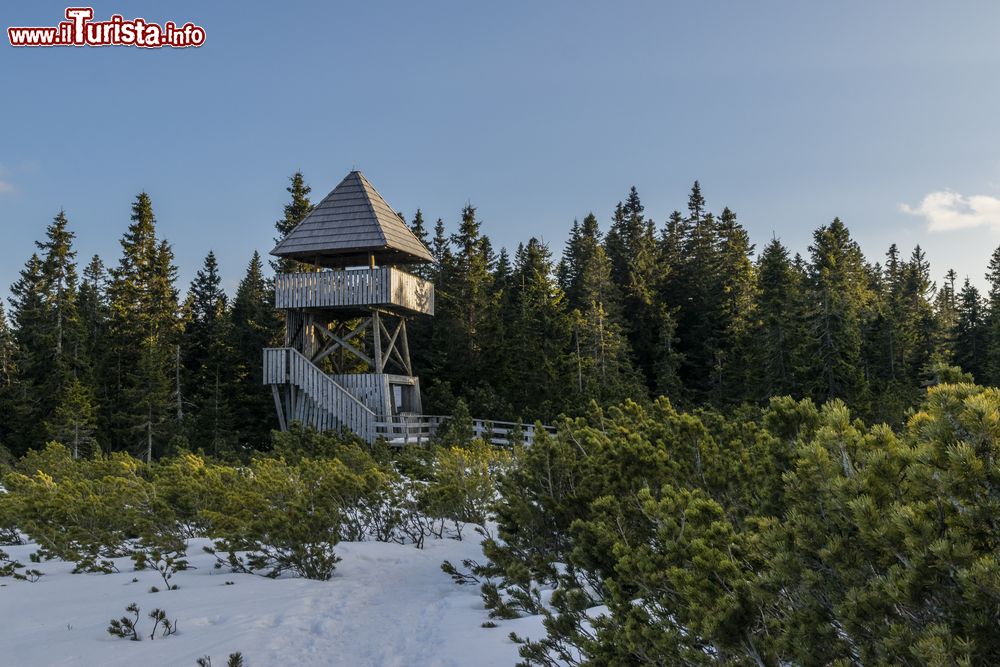Immagine Escursione a piedi fra le montagne nei pressi di Rogla, Slovenia. Dalla torretta in legno immersa nei boschi si può ammirare il suggestivo panorama innevato.
