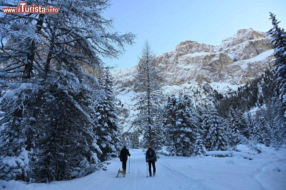 Immagine Escursione a Plan de Gralba vicino a Selva di Val Gardena in Alto Adige - © Foto S. Vietto Ramus e Massimo Valentini